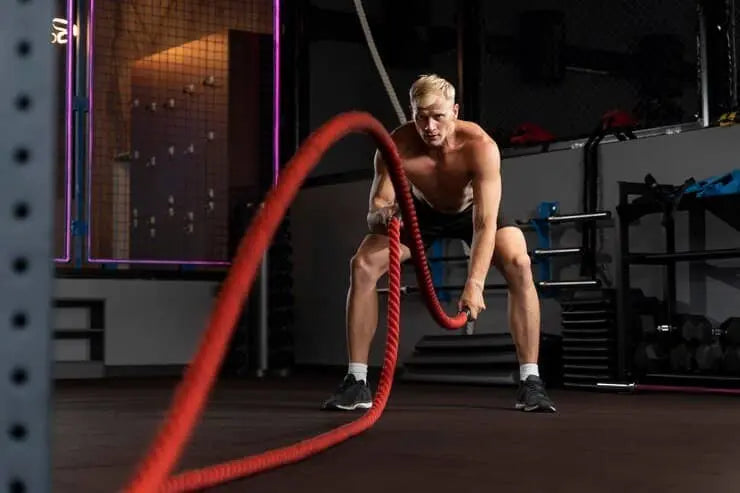 Guide détaillée sur la prise de masse musculaire